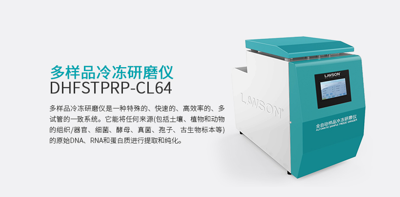 多样品冷冻研磨仪 DHFSTPRP-CL48